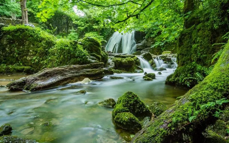 高端工业高标准